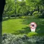 JCSYFAC "No Dog Poop" Dấu hiệu nhựa Không có lỗ chân lông Cảnh báo sân Vườn Cổ phần Cảnh báo chống nước ngoài trời cho chủ sở hữu thú cưng Ngăn ngừa ô nhiễm Mới