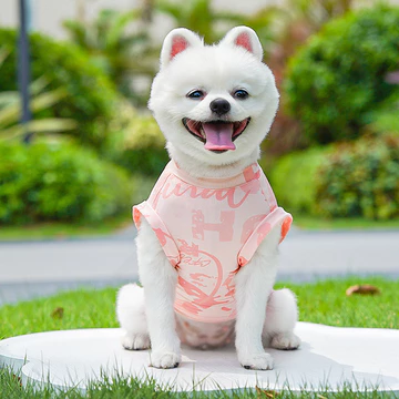 Băng Lụa Không Lông Mèo Thú Cưng Chó Quần Áo Chó Quần Áo Mèo Quần Áo Cung Cấp Chống Bay Mát Quần Áo Vest