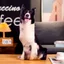 DARON Chó Sang Trọng Đồ Chơi, Labrador Corgi Sofa Phòng Ngủ Chó Nhồi Bông Gối, Thú Cưng Người Yêu Sống Động Như Thật Trang Trí Nhà Mô Phỏng 3D Đệm Chó Thú Nhồi Bông