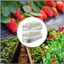 Lưới cho vườn rau 2 mảnh Màn hình bảo vệ chim Lưới làm vườn cho rau quả Hoa quả Cây trồng mueadsyvn