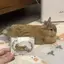 PNPIA- Kẹp Tóc Thỏ Cho Bé Gái Kawaii Thời Trang Hàn Quốc Vintage Phụ Kiện Tóc Cho Tiệc Sinh Nhật Và Trường Học