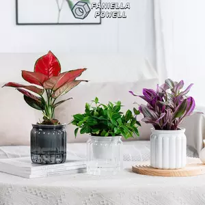 FANIELLAPOWELL Chậu hoa, Chậu cây thủy canh có thể tháo rời bằng nhựa, Trang trí cây cảnh văn phòng tự tưới cây cảnh
