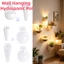 1 Chiếc Mới Treo Tường Chậu Hoa Trắng Trong Suốt Dải Tròn Treo Cây Có Móc Cho Cây mọng Nước Và Thủy Canh