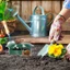 Mới Bẫy Ốc Bắt Côn Trùng Hộp Ngoài Trời Vườn Kiểm Soát Dịch Hại Bẫy Bò Sát