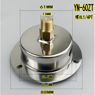 YN60ZT Trục Có Bên Chống Sốc Đồng Hồ Đo Áp Suất Chân Không 25MPA / 250KG Thủy Lực Chống Sốc Chống Sốc