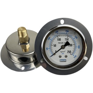 YN60ZT Trục Có Bên Chống Sốc Đồng Hồ Đo Áp Suất Chân Không 25MPA / 250KG Thủy Lực Chống Sốc Chống Sốc
