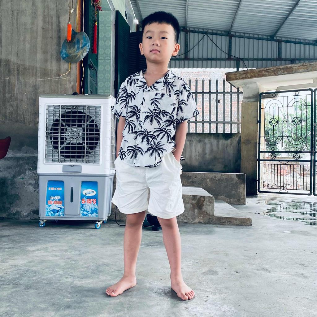Bộ quần áo ĐI BIỂN cho bé trai, bộ đũi đi biển đi chơi cho bé