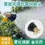 Cuộc sống nông nghiệp Phải có loại mới Tưới phun nước Nông nghiệp Bão đen phun sương