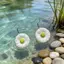PNPIA- Bông Tai Hoa 3D Boho Cho Nữ Nhẹ Nhiều Màu Sắc Nhựa Thả Hoa Tòn Ten Cho Mùa Hè Đi Biển Đảng Và Quà Tặng