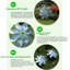 PWSEND Phản Quang Pinwheel, Chống Chim Orchard Bảo Vệ Chim Repeller Pinwheels, Cối Xay Gió Lái Xe Bền Đẹp Chống Thời Tiết Sparkly Scarecrow Pinwheel Cho Bãi Cỏ