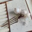PNPIA- 1 Cái Dự Tiệc Kẹp Tóc Phụ Kiện Tóc Hoa Retro Thanh Lịch Hợp Kim Vàng Kẹp Tóc Hoàn Hảo Để Uốn Tóc Hoặc Tóc Thẳng