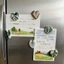 Thực vật nhiệt đới mới Acrylic Nam châm khoa học giáo dục Quà tặng cho trẻ em Bạn bè