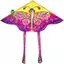 Diều bướm cầu vồng 90 * 55cm Diều trẻ em có thể gập lại ngoài trời có dây điều khiển 50M [mới]