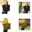 Jfory Nhẹ Oxford Vải Tote Túi Dây Rút Đóng Cửa Dung Tích Lớn Ví Nữ Kinh Doanh Du Lịch Công Sở
