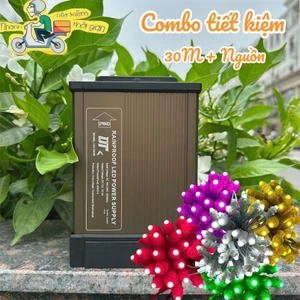 Combo 30M Led đúc quấn cây F5 và nguồn 12V chống nước trang trí ngoài trời giá rẻ
