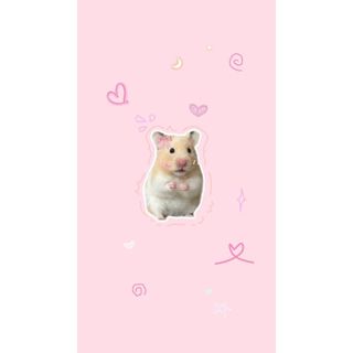 móc khoá hamster đáng yêu
