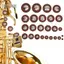 Toyuvn Toyuvn Sax Miếng Da 25 Chiếc Bộ Thay Thế Nhiều Kích Thước Cho Tenor Saxophone Phụ Kiện