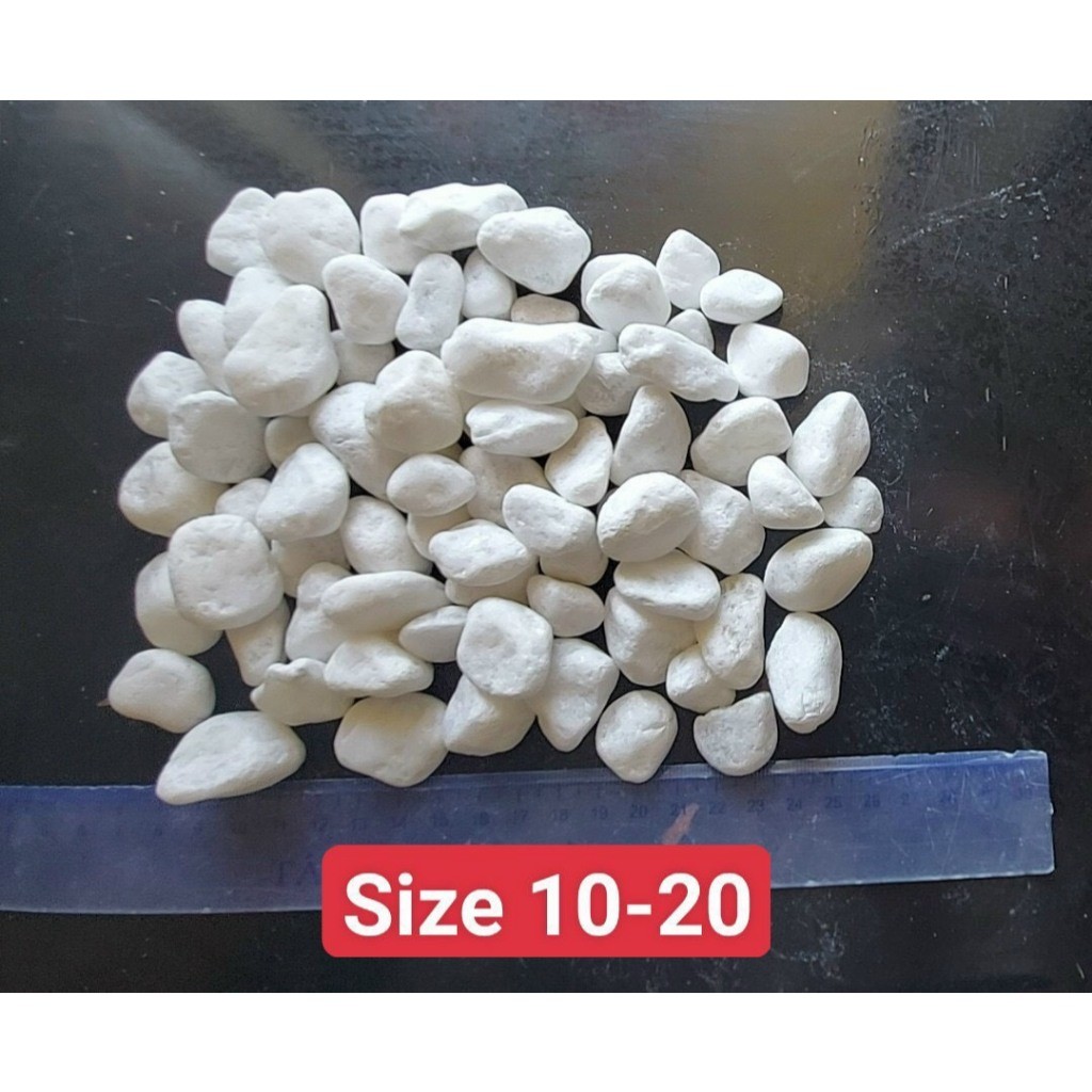 1 bao 12kg-13kg Sỏi Trắng Trang Trí Sân Vườn – Đá Trắng Rải Chậu Cây, Tiểu Cảnh, Decor Ban Công & Lối Đi