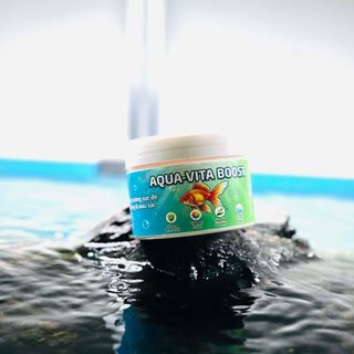 Vitamin C cho cá cảnh Aqua-Vita Boost cao cấp, chống sốc, giảm stress, tăng đề kháng, tăng màu sắc
