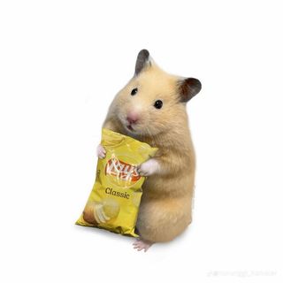 móc khoá hamster đáng yêu
