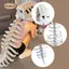 Phụ kiện trang phục bộ xương khủng long Halloween, chủ đề biểu diễn sân khấu, lễ hội