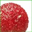 Bóp Fidget Đồ Chơi Dễ Thương Thư Giãn Khuôn Tiện Ích Người Lớn Bóp Đồ Chơi Fidget Ball Cho Bé Trai Bé Gái Học Sinh Người Lớn saixit2vn