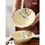 Một chút Nghịch Ngợm Dòng Chó Con Bộ Đồ Ăn Phô Mai Gốm Sứ Đĩa Sâu Bát Đẹp Quà Tặng Cô Gái Dễ Thương