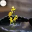 Hodou Hydroponic Nổi Hoa Giá Đỡ Hoa Nổi Thân Cây Trong Suốt Thân Màn Hình Sắp Xếp Dụng Cụ Tổ Chức VN