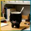 BVY Bat Upside Down Shaped Mug – Cốc cà phê hình dơi Gothic dễ thương 3D có đế có trọng lượng, Cốc động vật gốm sứ cho bàn làm việc.