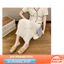 {READY STOCK} Dép nữ mùa hè Dép nữ chống trượt phẳng phù hợp cho nữ Dép thời trang nhẹ một từ nữ