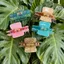 Vuốt Tóc Hoa Hawaii SMILE, Thiết Kế Thực Vật Nhiệt Đới Thông Thường Kẹp Vuốt Tóc Hoa, Phụ Kiện Tóc Mùa Hè Dễ Thương Thời Trang Bé Gái