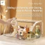 Hộp đựng nước hoa Flip-Top trong suốt - Dụng cụ trang điểm cho chai chăm sóc da son môi