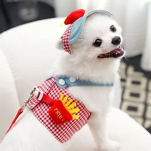 Khoai Tây Chiên Pháp Thú Cưng Ngực Lưng Dây Xích Bộ Bốn Mùa Mèo Con Chó Con Quần Áo Đi Chơi Đi Chơi Mũ Chống Nắng Cung Cấp