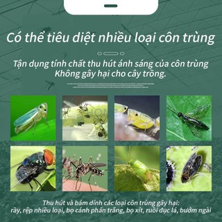 Bẫy ruồi vàng, bẫy màu côn trùng 2 mặt - Hiệu quả với nhiều loài gây hại cho vườn lan, rau hoa màu và cây ăn trái-SUNND