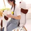 Chó con Đồ chơi sang trọng Búp bê bé gái Gối ngủ Búp bê chó dễ thương Quà tặng sinh nhật Ragdoll lớn 260604