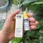 Tinh dầu phục hồi tóc hư tổn K18 Molecular Repair Hair Oil 30ml [ MK ]