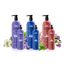 Dầu gội màu - đỏ CHI IONIC Color Illuminate Red Auburn Shampoo 355ml [ MK ]