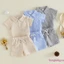 Bộ áo liền quần ngắn tay kẻ sọc có cổ nửa nút + quần Short trang phục mùa hè 2 mảnh