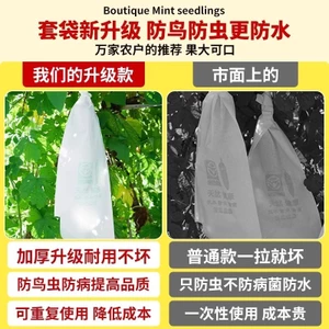 Loofah Dưa Hấu Xanh Bầu Đắng Bầu Túi Đóng Túi Chống Côn Trùng Túi Bảo Vệ Túi Giấy Dưa Chống Thấm Nước Rau Quả