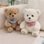 QEARY Thắt Nơ Gấu Búp Bê, Chất Liệu Mềm Khăn Size 25cm Gấu Đồ Chơi Sang Trọng, Bé Gái Bé Trai Thiết Kế Dễ Thương Khăn Phụ Kiện Đầy Màu Sắc Thắt Nơ Gấu Búp Bê Sang Trọng Đồng Hành Trẻ Em