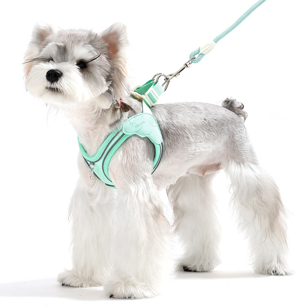 Dây Xích Chó Áo Phong Cách Dây Đeo Ngực Thoáng Khí Nhiều Màu Chó Nhỏ Mèo Dây Đeo Ngực Teddy Bichon Con Chó Con Mùa Hè Thú Cưng Dây Đeo Ngực Đi Chơi Chó Đi Bộ Dây Xích