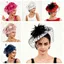 Mũ Fascinator MCODECOVED, Chấm Bi Lưới Derby Mũ, Khăn Lau Đám Cưới Lông Mềm Thiết Kế Cổ Điển Ren Hoa Dự Tiệc Tóc Dạ Hội Prom