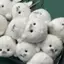 AN.MART Dễ Thương Cho Bé Cói Búp Bê Sang Trọng Đồ Chơi Mặt Dây Chuyền Mô Phỏng Đại Dương Đồ Chơi Lưu Niệm Con Dấu Mặt Dây Chuyền Quà Tặng Túi Búp Bê Mặt Dây Chuyền VN