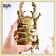 B & N Gạc Vàng Bọ Cánh Cứng Treo Tường Đồ Trang Trí Trang Trí Phòng Khách Treo Tường Túi Trưng Bày Côn Trùng Treo Tường Trang Trí.