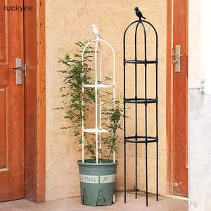 Luckyew 1 Bộ Cây Leo Trellis Vườn Hỗ Trợ Lồng Cho Hoa Cây Hỗ Trợ Khung Trellis Leo DIY Hoa Nho Nồi Đứng TQ