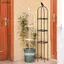 Luckyew 1 Bộ Cây Leo Trellis Vườn Hỗ Trợ Lồng Cho Hoa Cây Hỗ Trợ Khung Trellis Leo DIY Hoa Nho Nồi Đứng TQ