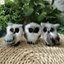 Lông Để Bàn Cú Đồ Trang Trí Lông Thú Giả Động Vật Đồ Trang Trí Cây Trang Trí Cho Tường Nhà Ngày Lễ Trang Trí Tiệc