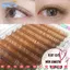EBINLANDS Caramel Lông mi màu, 0,07 C / D Curl Mink Lông mi giả, Caramel màu nâu Teal Mocha Color 8-14 Mix Length Lông mi riêng lẻ Nối mi