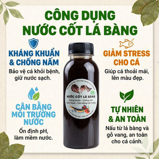 Nước Cốt Lá Bàng Đậm Đặc - Lọc Nano Siêu Trong - Dưỡng Cá Betta, Cá Lóc, Giảm Stress