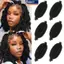 MAKY Afro Kinky Twist Crochet Phần mở rộng tóc 16 Inch Tóc lò xo tổng hợp riêng biệt dành cho cả ngày Mặc và tạo kiểu VN